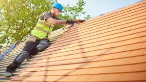 Roof Moss and Algae Removal in Lowesville, NC