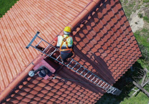 Best Roof Maintenance and Cleaning  in Lowesville, NC